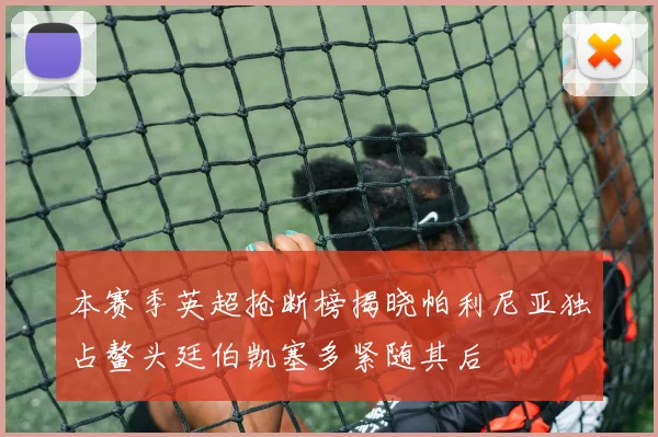 本赛季英超抢断榜揭晓帕利尼亚独占鳌头廷伯凯塞多紧随其后