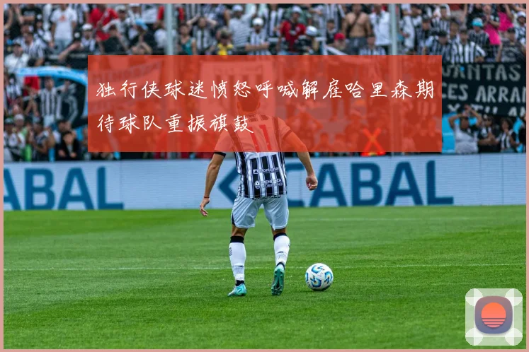 独行侠球迷愤怒呼喊解雇哈里森期待球队重振旗鼓