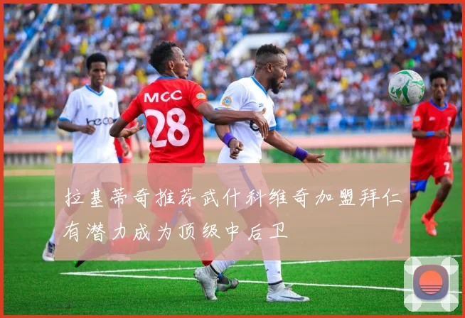 拉基蒂奇推荐武什科维奇加盟拜仁有潜力成为顶级中后卫